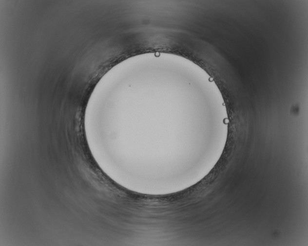 X0000115760597200912241730