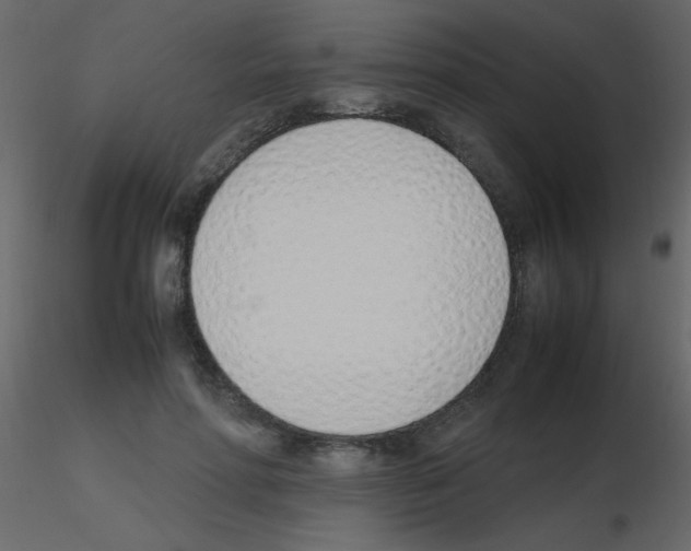 X0000115760598200912241730