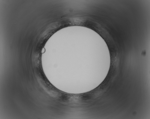 X0000115760599200912241730
