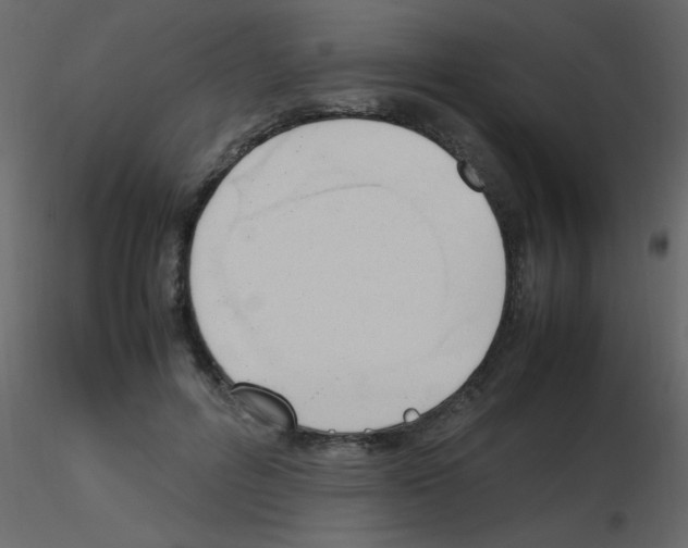X0000115760600200912241730