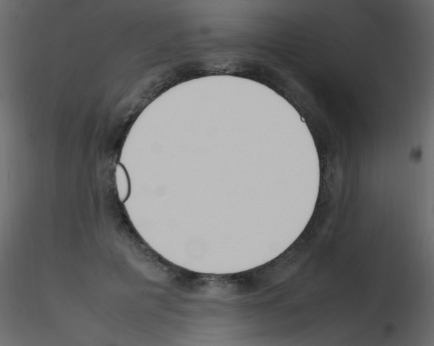 X0000115760601200912241730