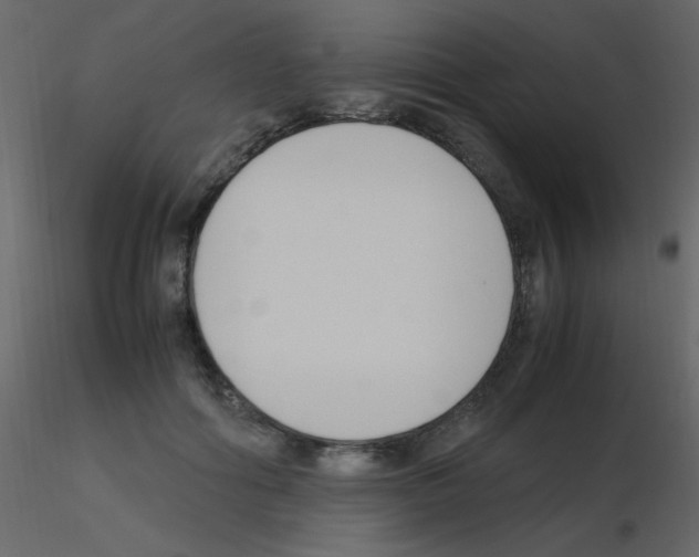 X0000115760602200912241730
