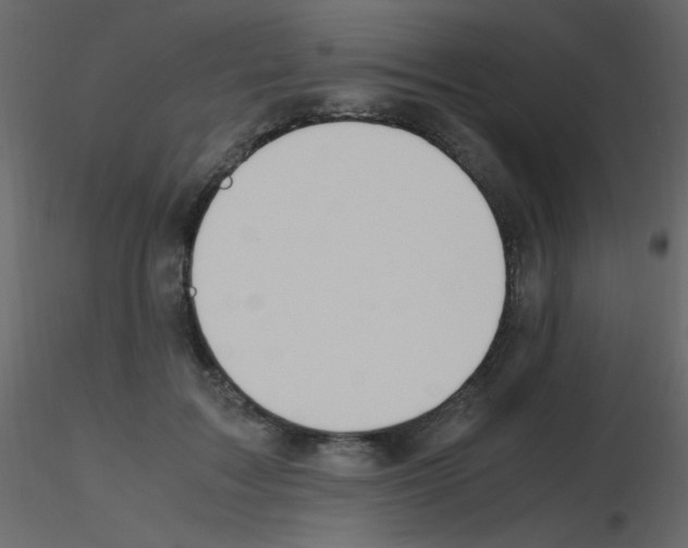 X0000115760603200912241730