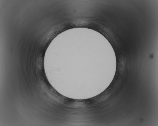 X0000115760604200912241730