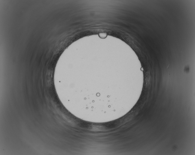 X0000115760605200912241730