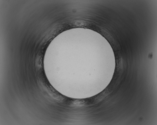 X0000115760606200912241730