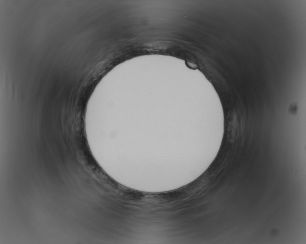 X0000115760608200912241730