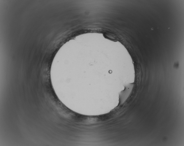 X0000115760609200912241730