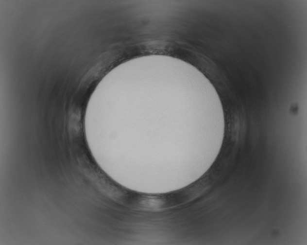 X0000115760610200912241730