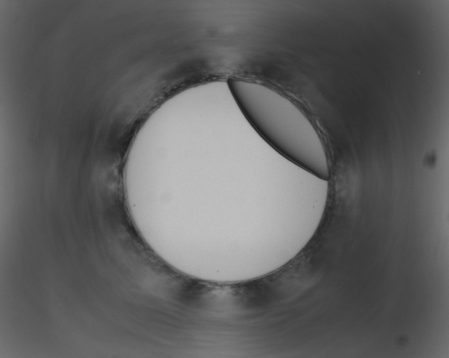 X0000115760611200912241730