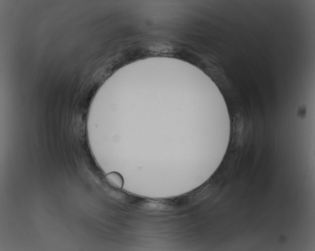 X0000115760614200912241730