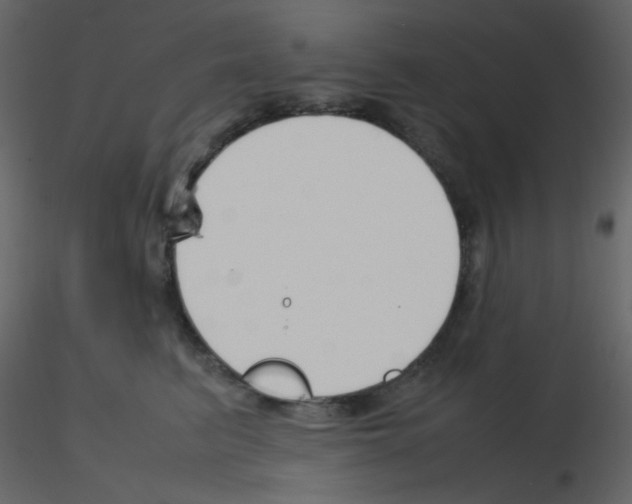 X0000115760615200912241730