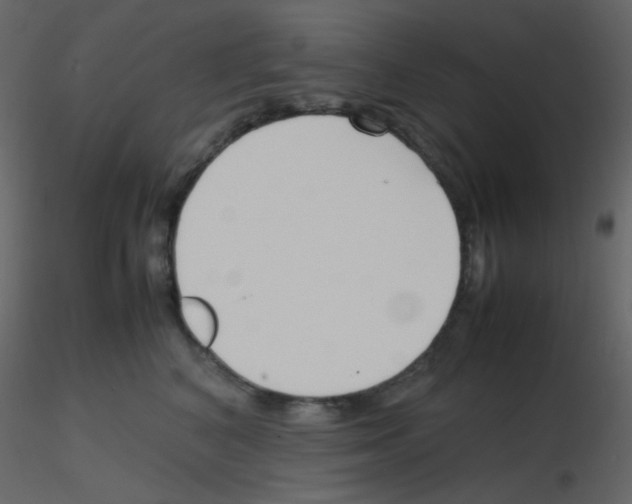 X0000115760616200912241730