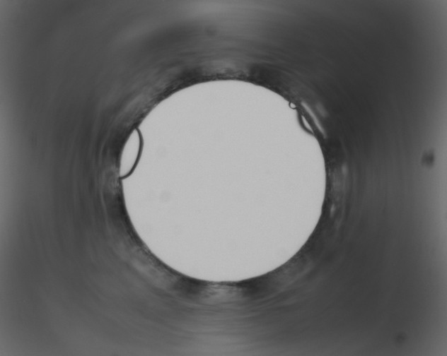 X0000115760617200912241730