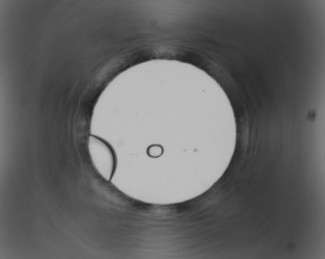 X0000115760619200912241730