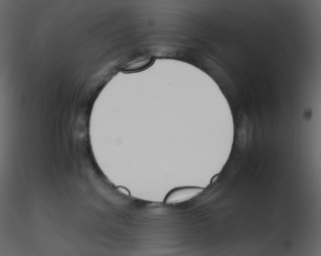 X0000115760620200912241730