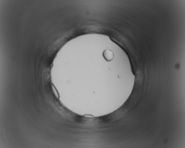 X0000115760621200912241730