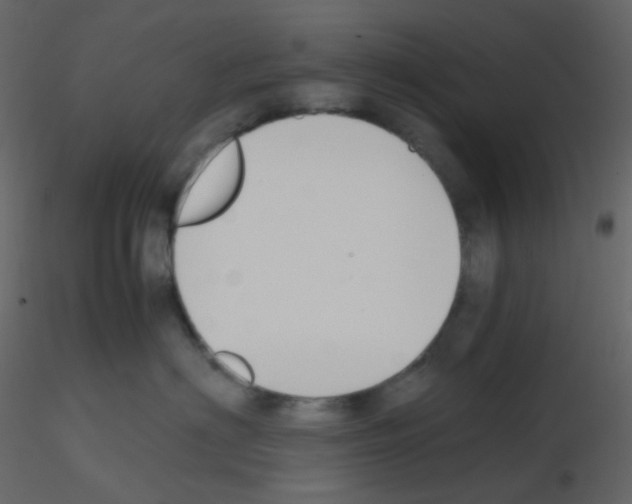 X0000115760622200912241730
