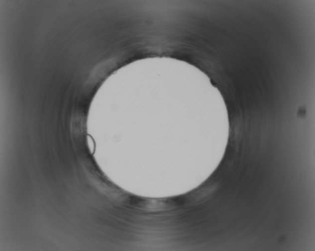 X0000115760623200912241730