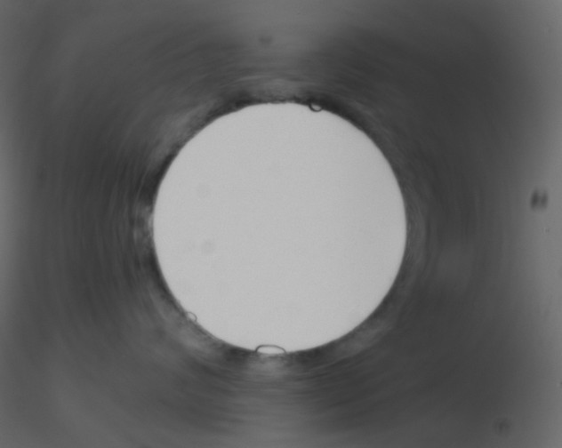 X0000115760624200912241730