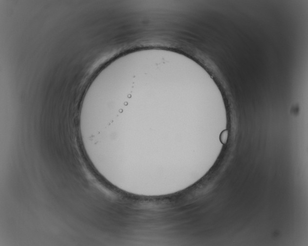 X0000115760625200912241729