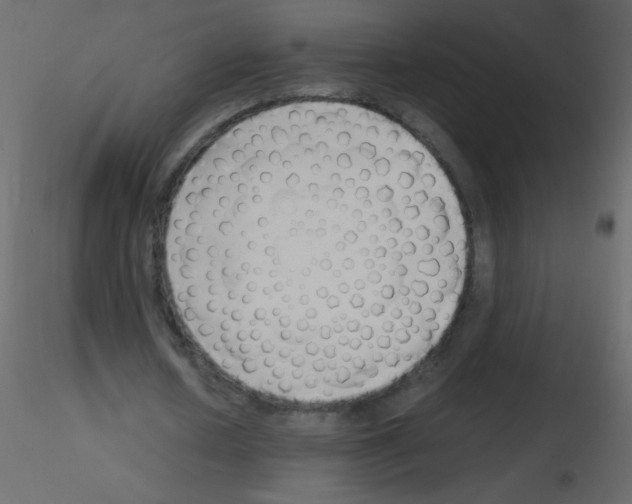 X0000115760626200912241729