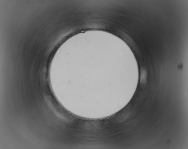 X0000115760627200912241729