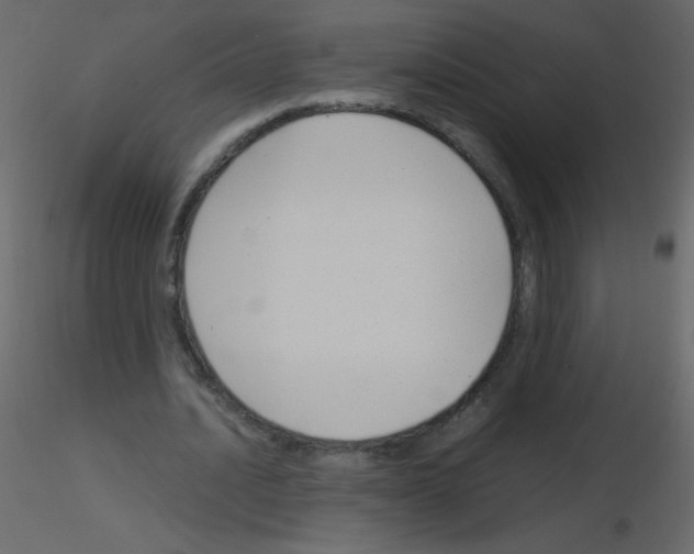X0000115760628200912241729