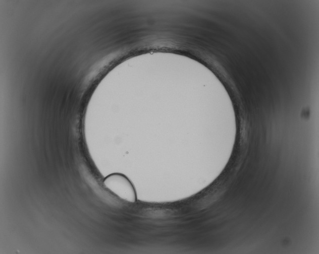 X0000115760629200912241729