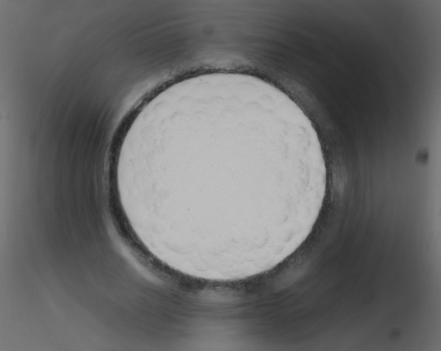 X0000115760630200912241729