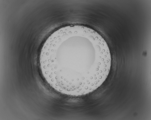 X0000115760631200912241729