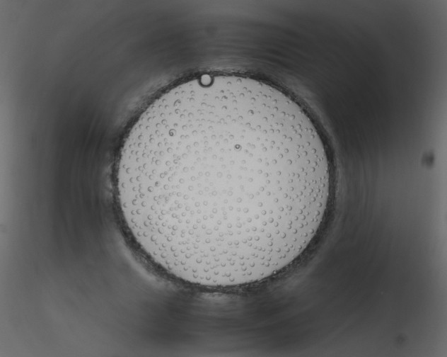 X0000115760633200912241729