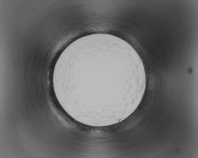 X0000115760634200912241729