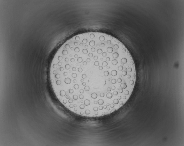 X0000115760638200912241730