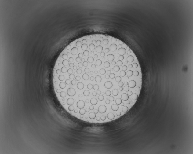 X0000115760639200912241730