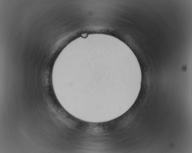 X0000115760640200912241730