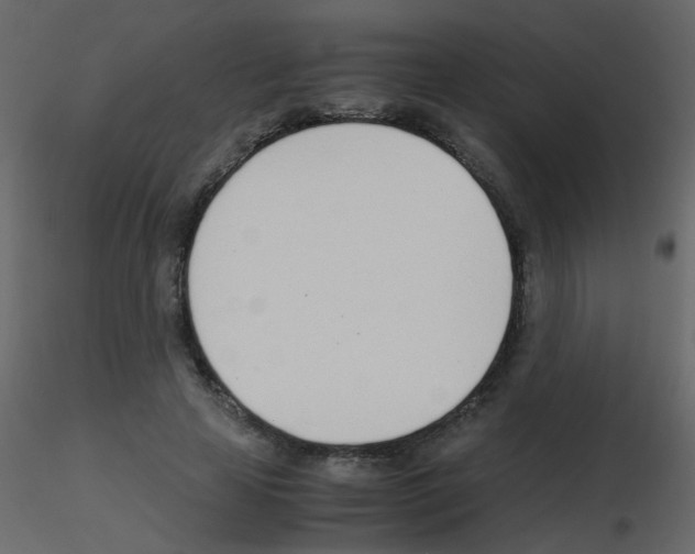 X0000115760641200912241730