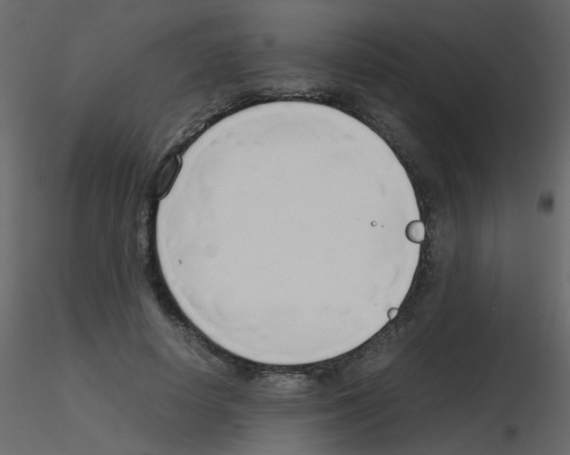 X0000115760642200912241730