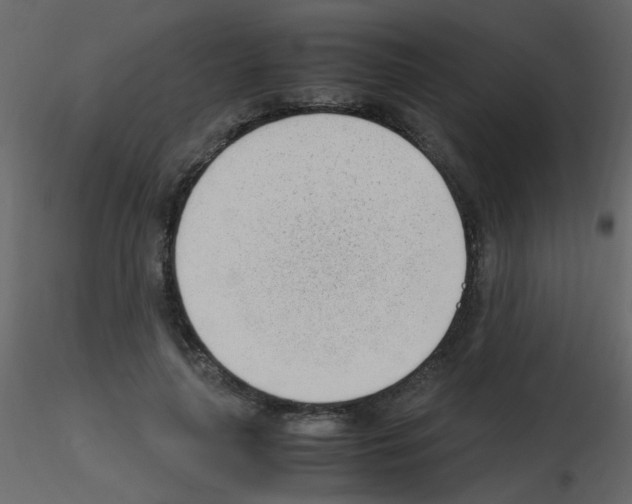 X0000115760643200912241730
