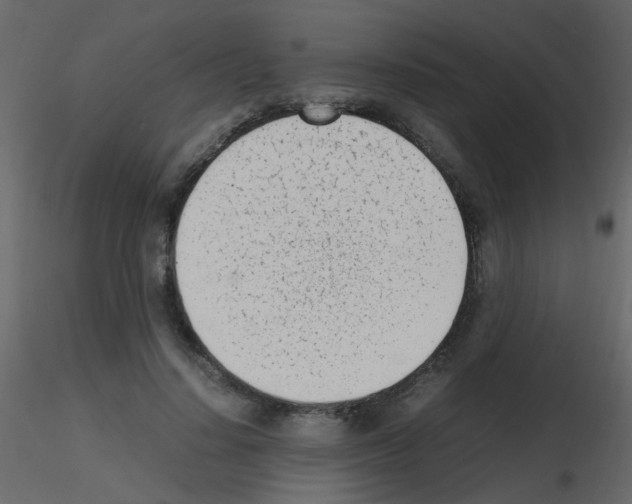 X0000115760644200912241730