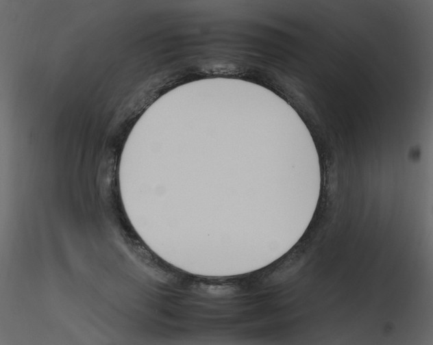 X0000115760645200912241730