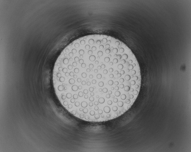 X0000115760646200912241730