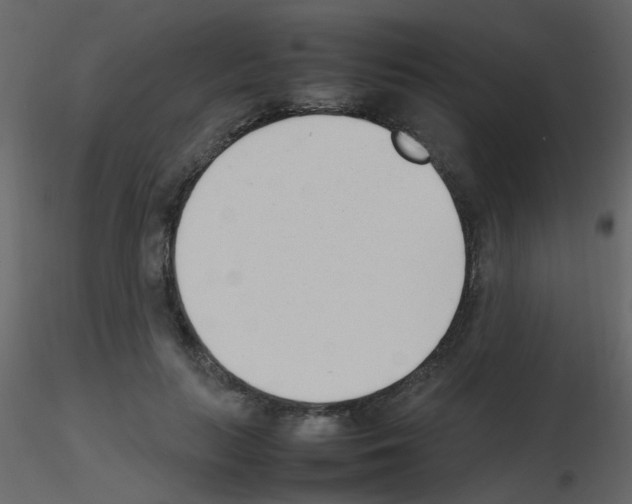 X0000115760647200912241730