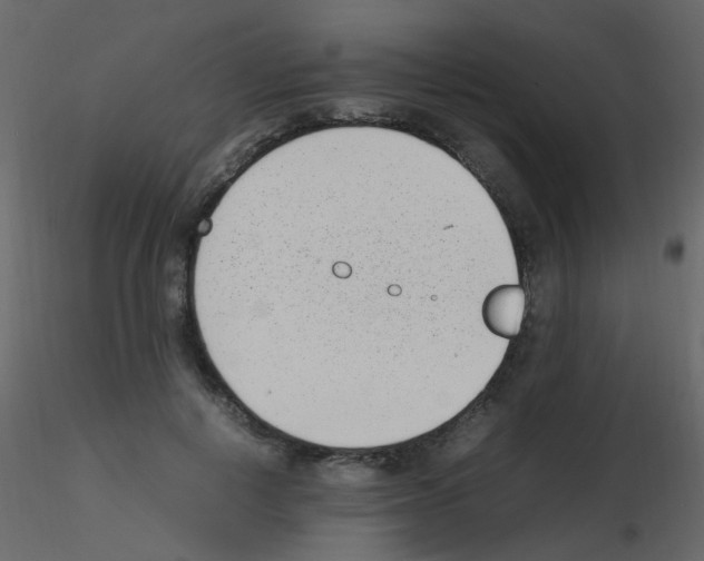 X0000115760648200912241730