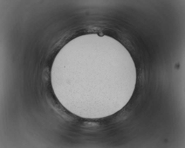 X0000115760649200912241730