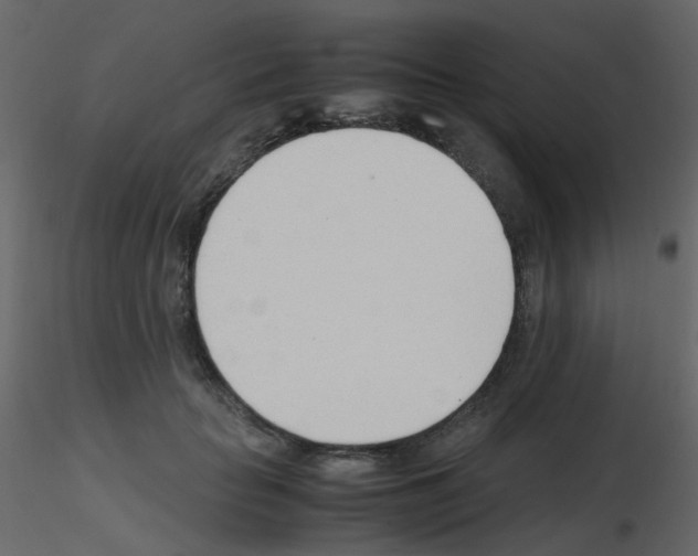 X0000115760653200912241730