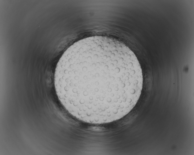 X0000115760654200912241730