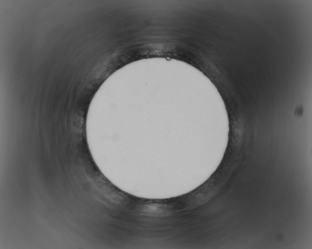 X0000115760657200912241730