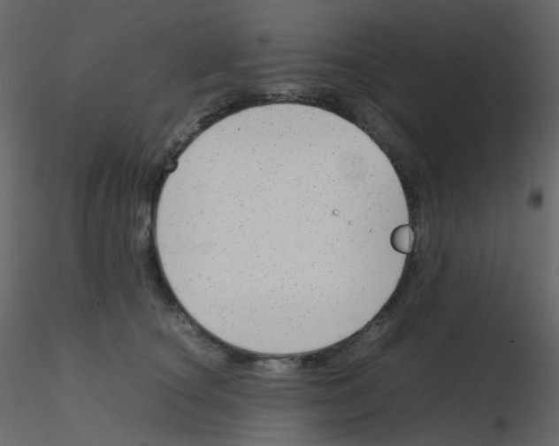 X0000115760660200912241730