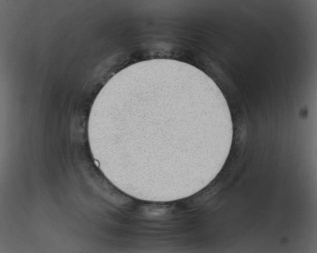 X0000115760661200912241730